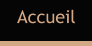Accueil